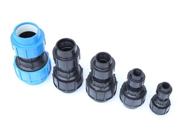 ���ٱ侶��ͷ