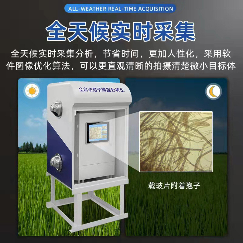 ȫ�Զ����Ӳ�׽��